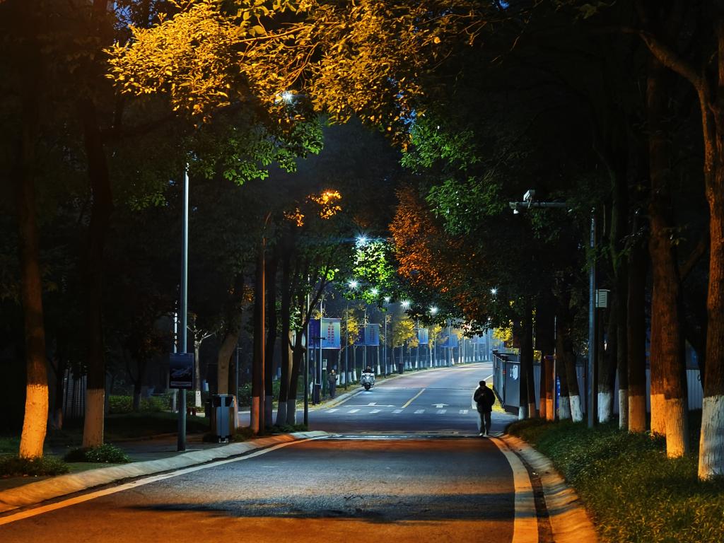 科学城校区：路灯织的暖（机电学院李博轩摄）