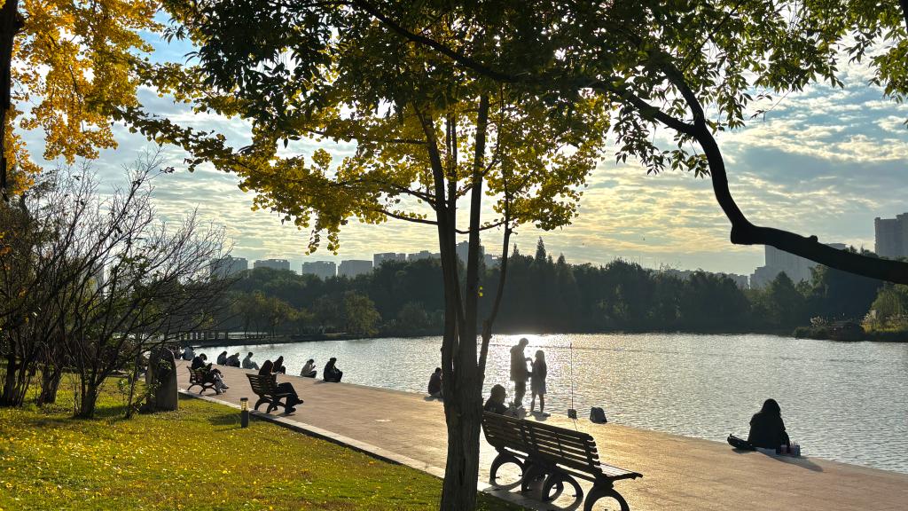 科学城校区秋光下的李子湖畔